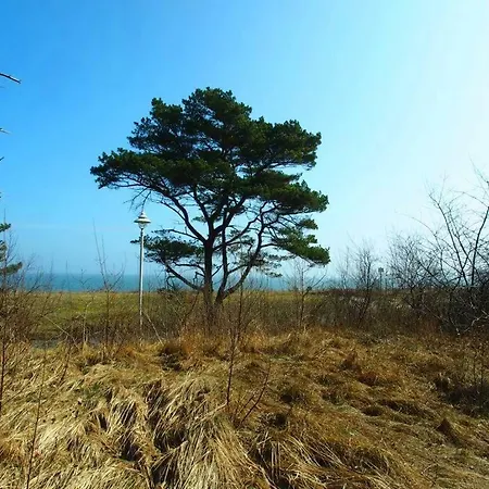 Appartement Zum Inselparadies, Haus Meeresblick *